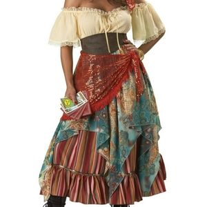 Premium Fortune Teller Halloween Costume.